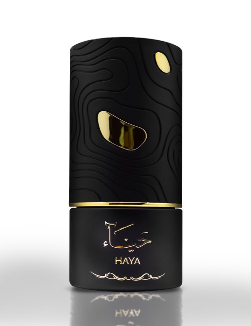 AL ABSAR HAYA 100ML  - EDP