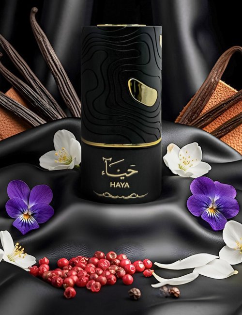 AL ABSAR HAYA 100ML  - EDP