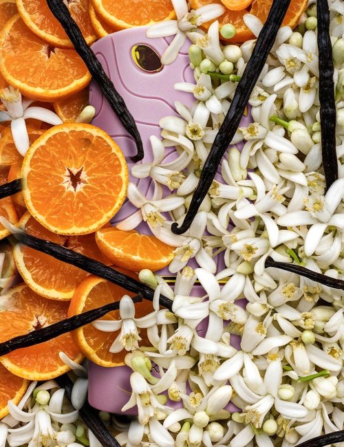 AL ABSAR RANIA 100ML  - EDP