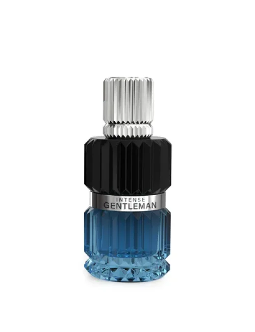 MIRADA PERFUME GENTLEMAN INTENSE 100ML
