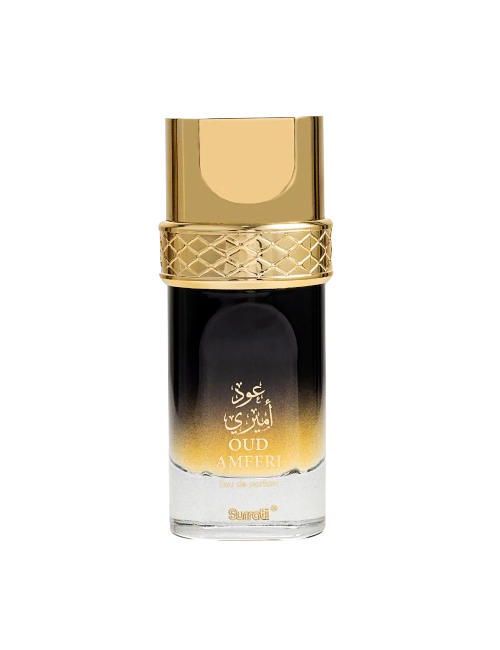 SURRATI OUD AMEERI 100ML EDP