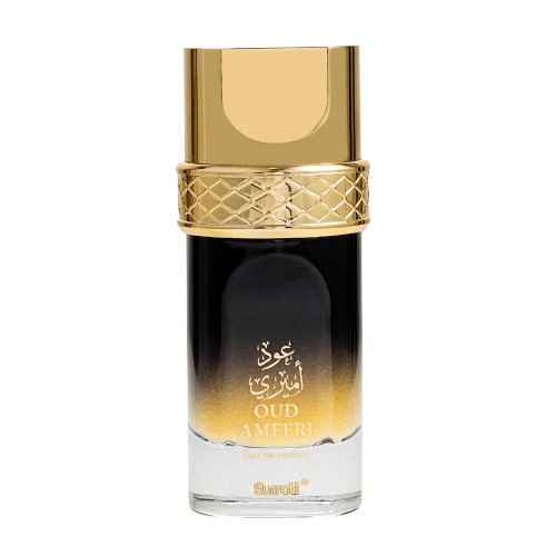 SURRATI OUD AMEERI 100ML EDP